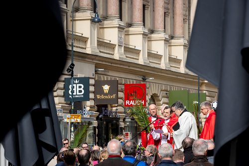 2025 Palmsonntag / Erzdiözese Wien/ Schönlaub, Stephan Schönlaub
