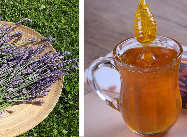 Lavendel und Honig