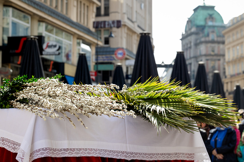 2025 Palmsonntag / Erzdiözese Wien/ Schönlaub, Stephan Schönlaub