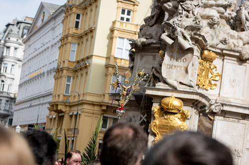2025 Palmsonntag / Erzdiözese Wien/ Schönlaub, Stephan Schönlaub