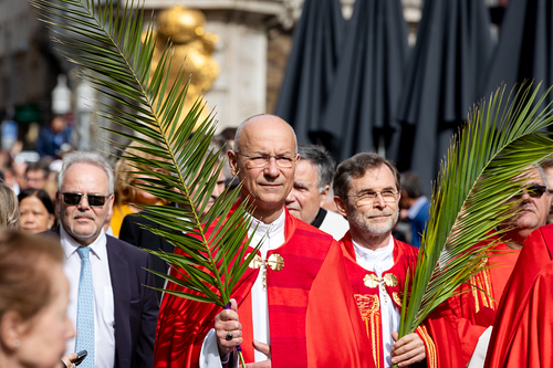 2025 Palmsonntag / Erzdiözese Wien/ Schönlaub, Stephan Schönlaub